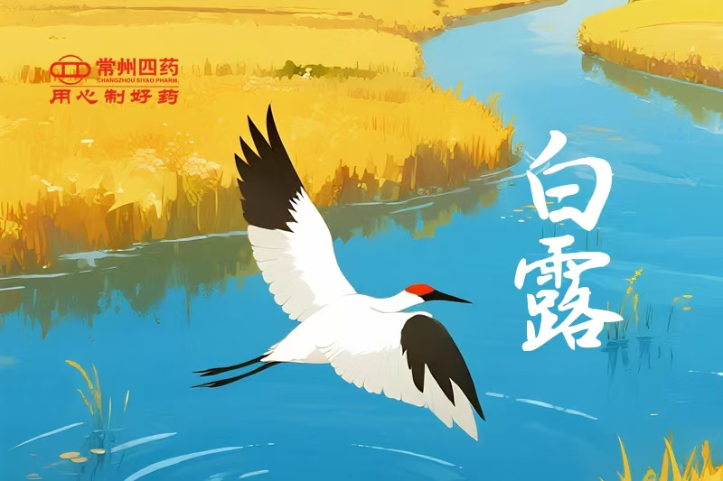 今日白露 | 一夜涼一夜，鴻雁南歸時(shí)