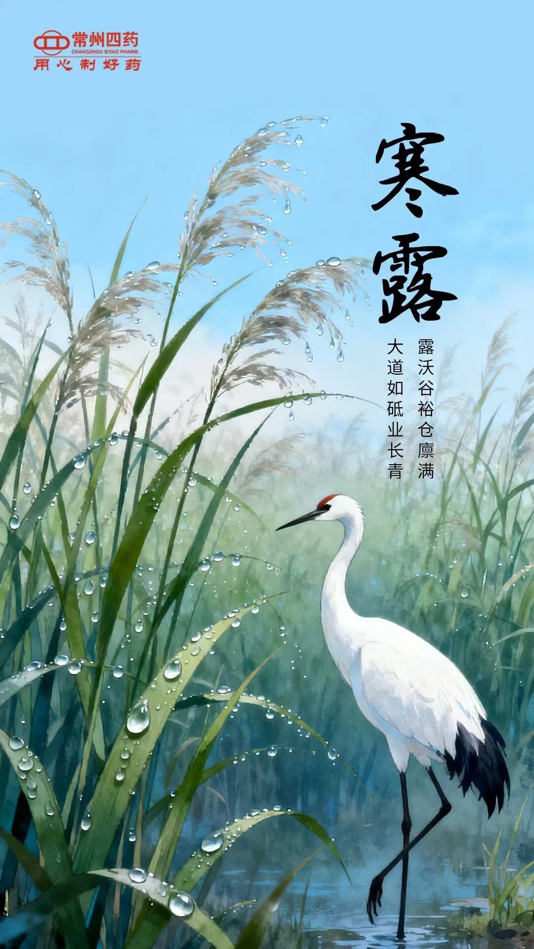 今日寒露|露重風(fēng)涼，記得添衣